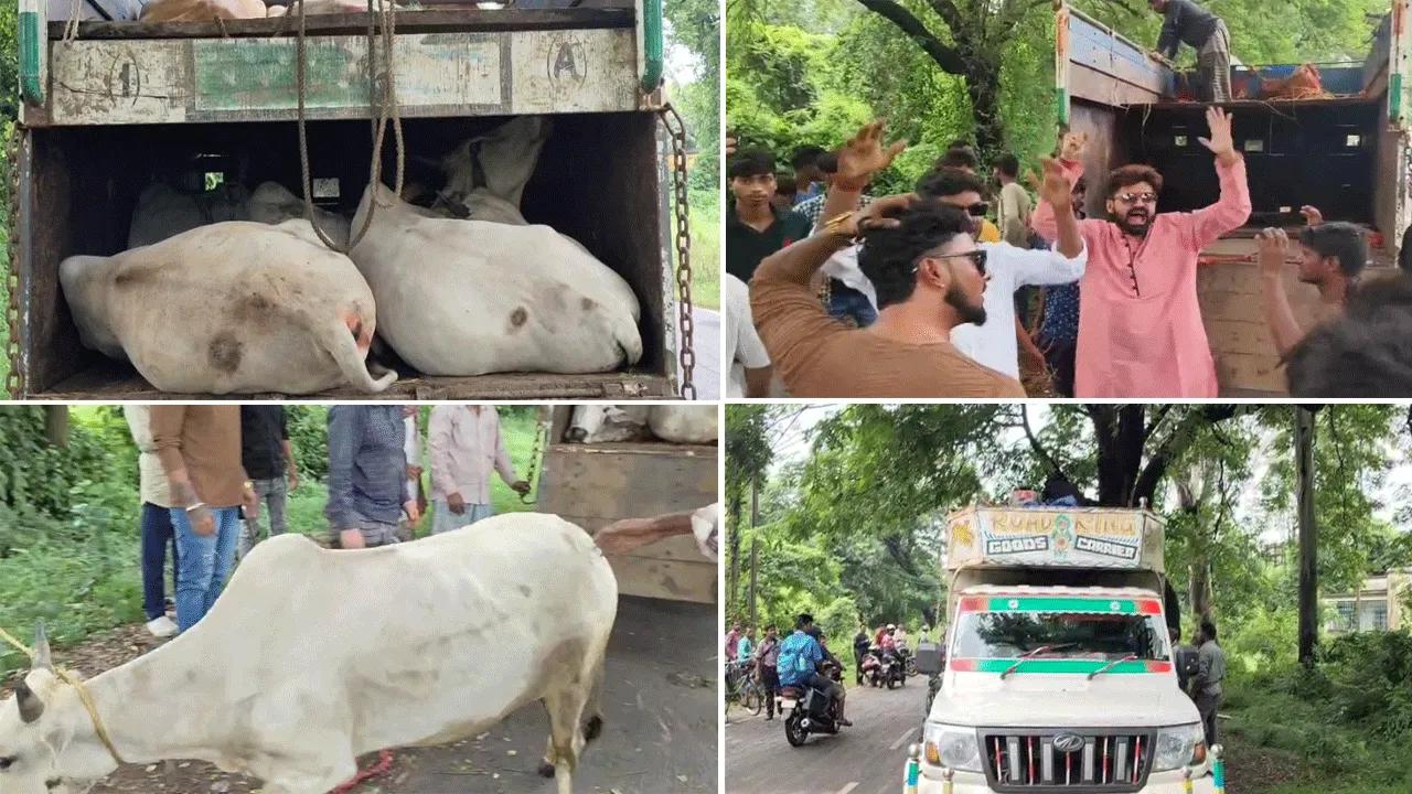 দুর্গাপুরে গাড়ি আটকে লাঠিপেটা, অভিযোগ বিজেপির বিরুদ্ধে
