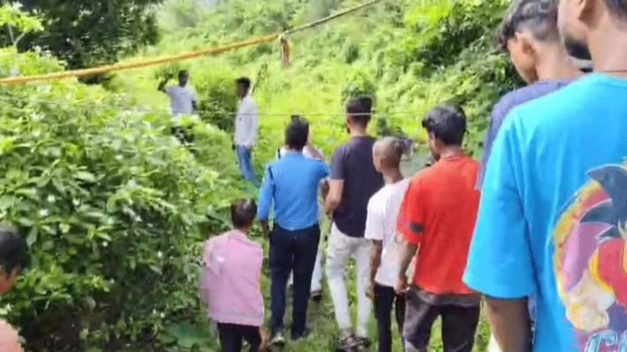 জঙ্গল থেকে শিশুর দেহ উদ্ধার, চাঞ্চল্য