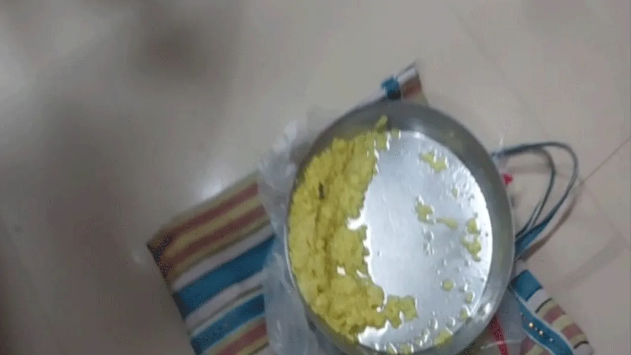 আইসিডিএস কেন্দ্রের খাবারে টিকটিকি, হাসপাতালে ভর্তি একাধিক শিশু সহ ৯ জন