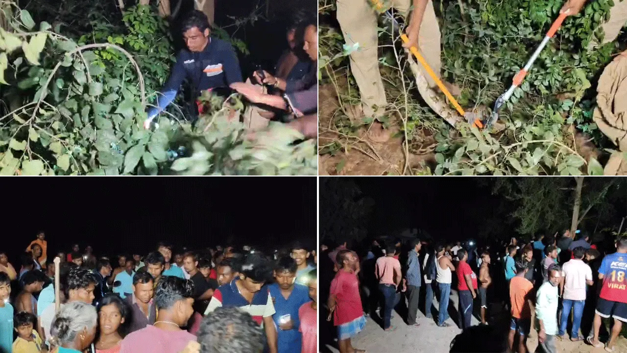 বিশালাকার অজগর সাপ ঘিরে আতঙ্ক গ্রামে