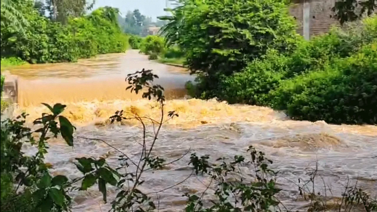কংসাবতী সেচ ক্যানেল ভেঙ্গে বিপত্তি
