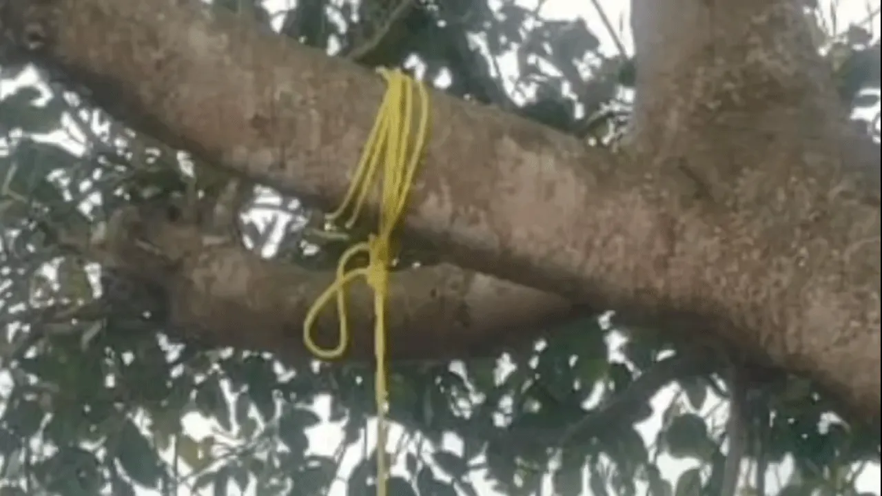 যুগলের ঝুলন্ত দেহ উদ্ধার, অবৈধ সম্পর্কের জের!