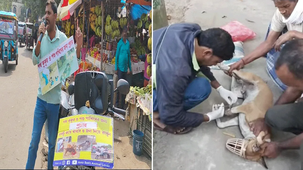 পশুপ্রেমী আমির সেখ – এলাকার গর্ব