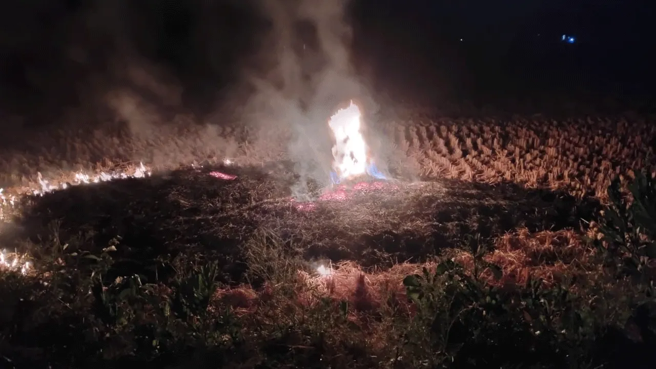 ধান কাটার মরশুম, শুরু হয়েছে নাড়া পোড়ানোর কাজ, সতর্ক করলেন বিশেষজ্ঞরা