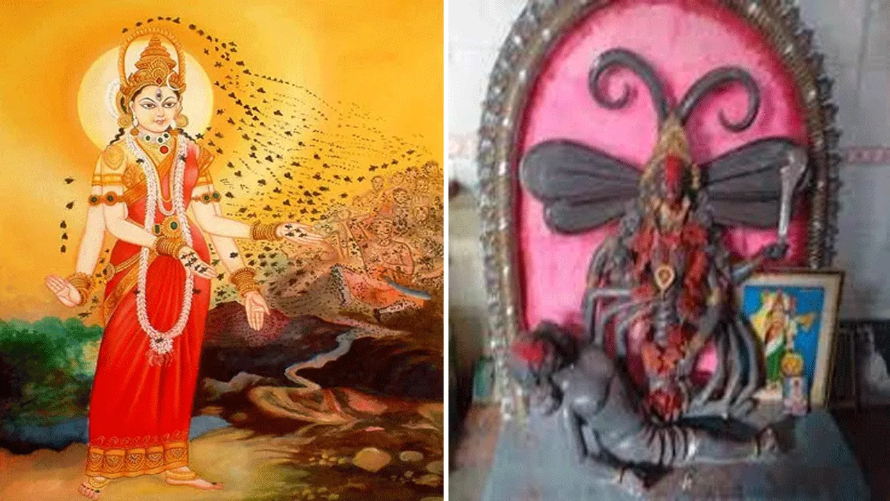 দেবী ভ্রামরীর সৃষ্টি আসলে অধর্মের বিনাশের জন্য