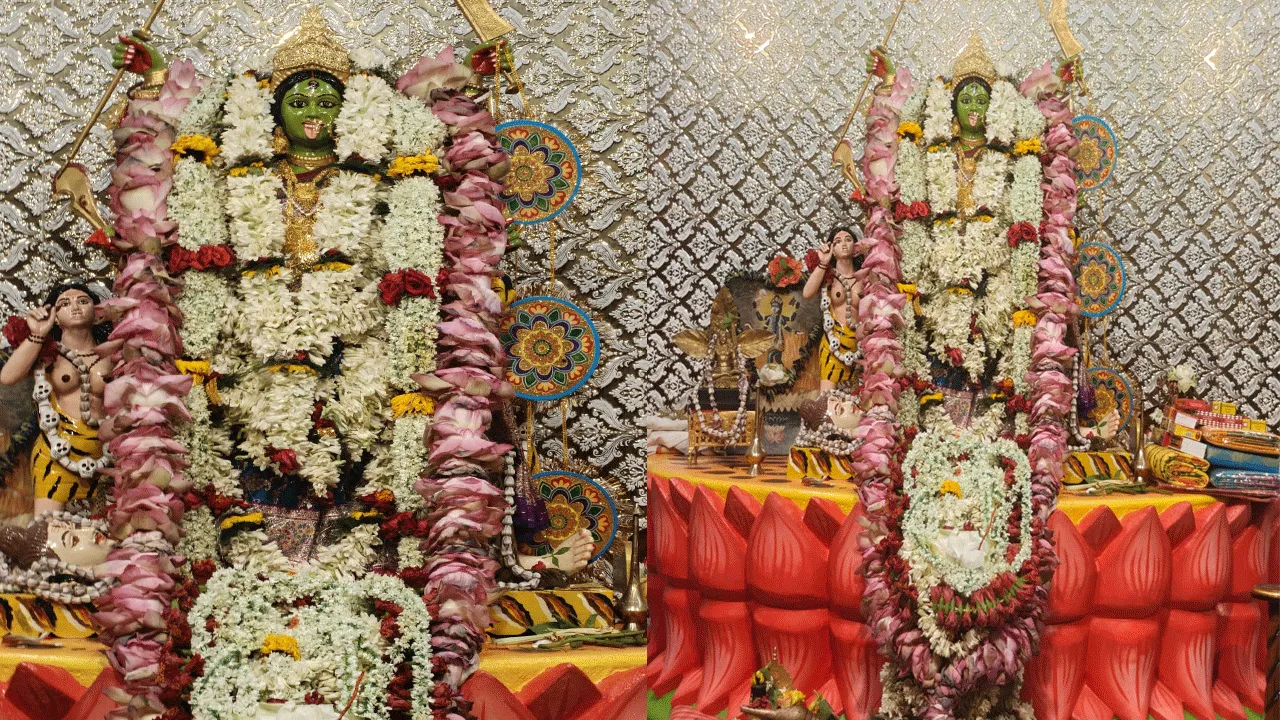 ফলহারিনী অমাবস্যায় সবুজ কালী মায়ের মনোমুগ্ধকর রূপ