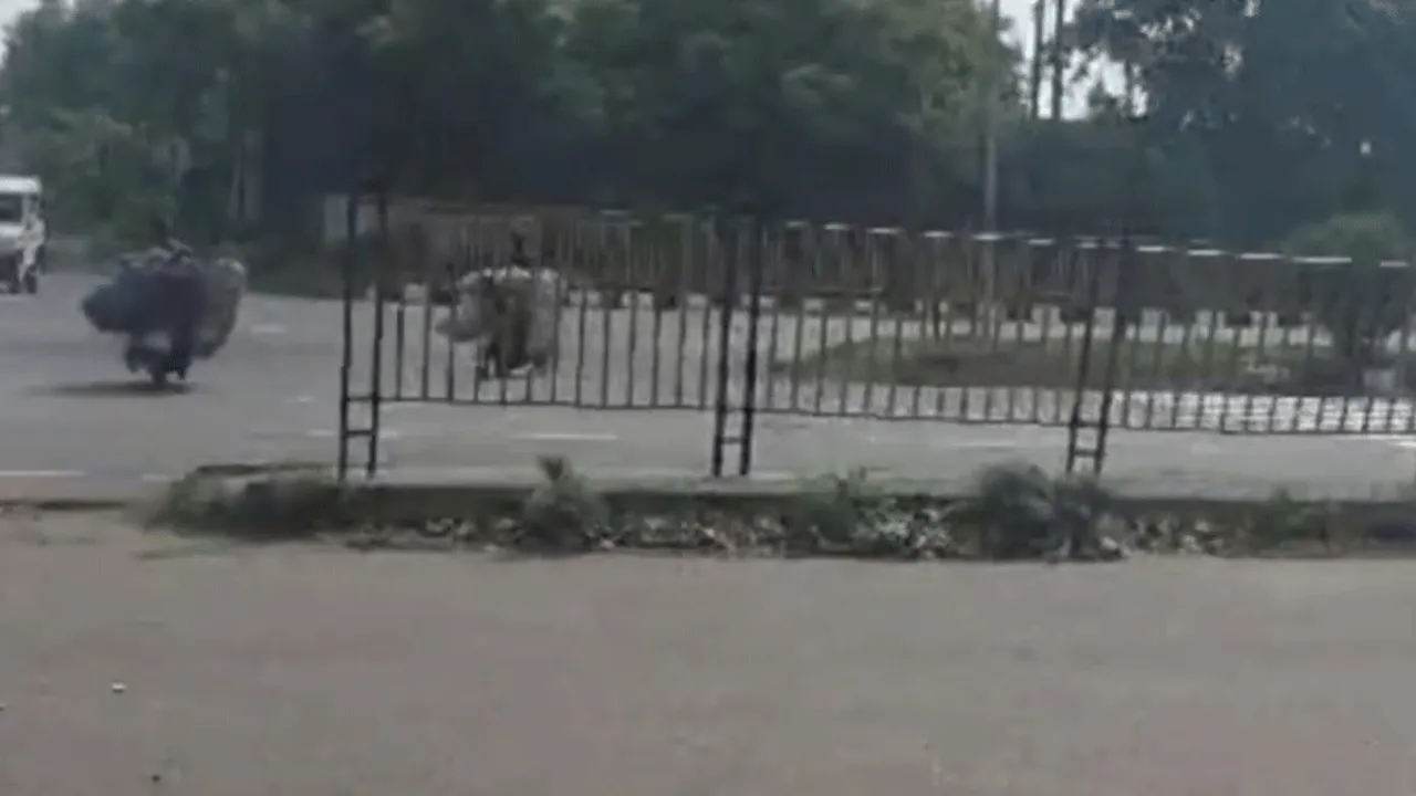 আসানসোলে দিনের আলোয় কয়লা পাচার, ভাইরাল ভিডিও ঘিরে চাঞ্চল্য