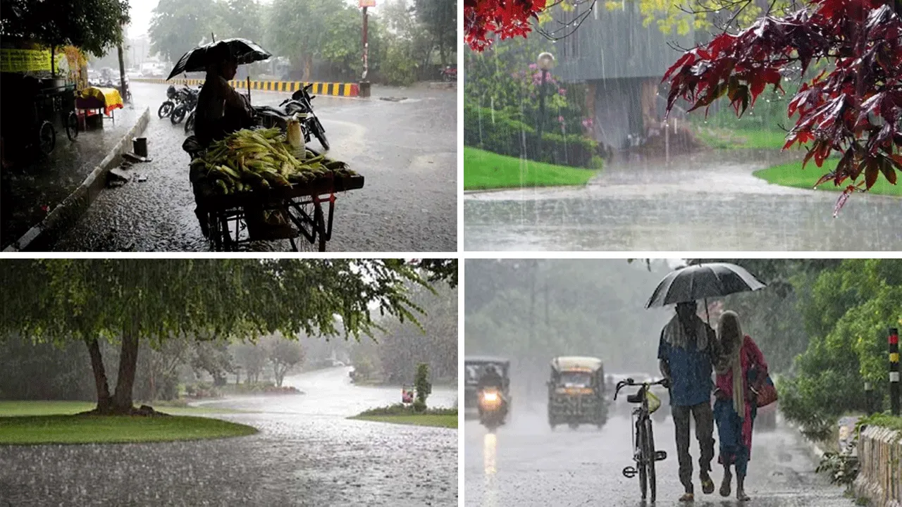 পা রাখল বর্ষা, তীব্র দাবদাহ পেরিয়ে ভিজতে চলছে দক্ষিণবঙ্গ