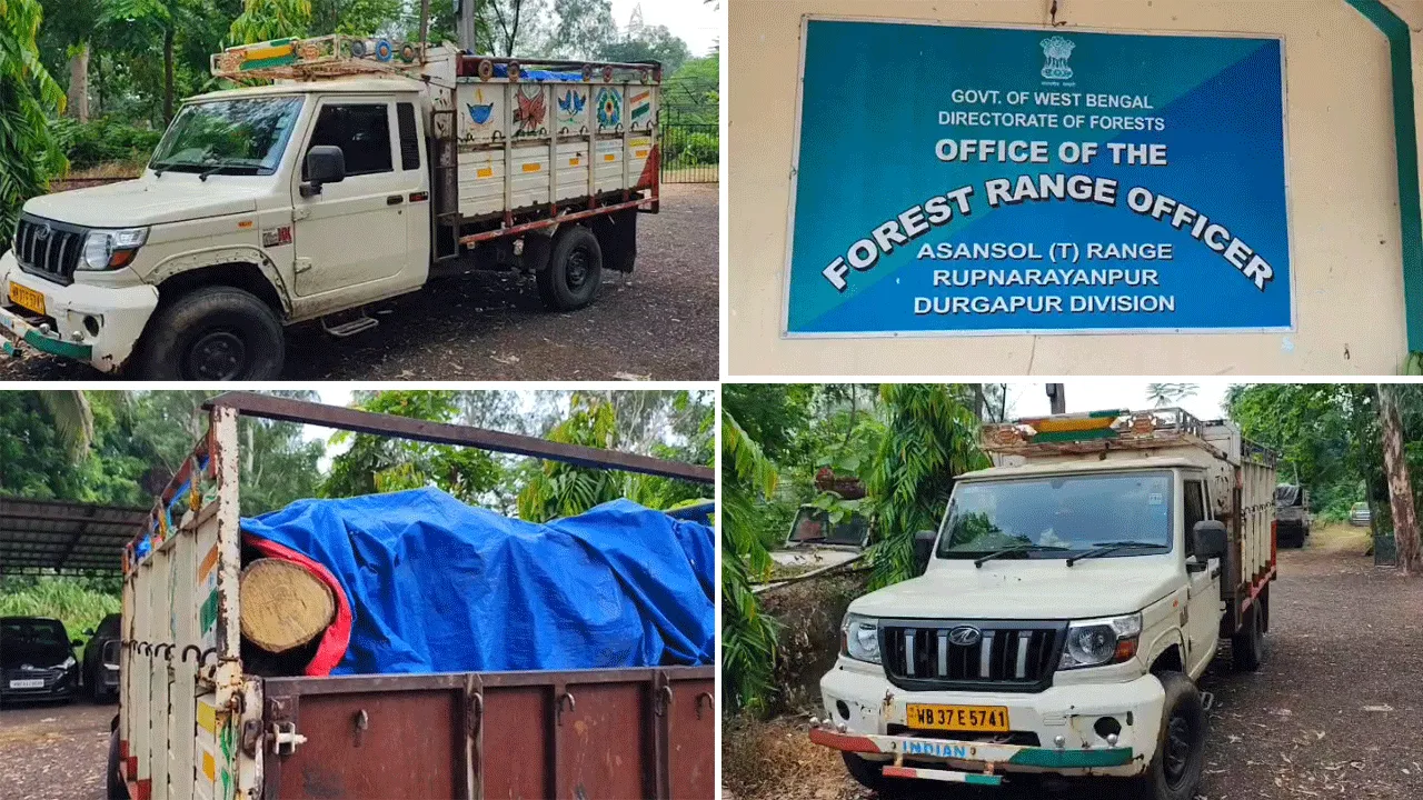 অবৈধ কাঠ পাচারের বিরুদ্ধে বন দপ্তরের বড় সাফল্য: আটক পিকআপ ভ্যান​