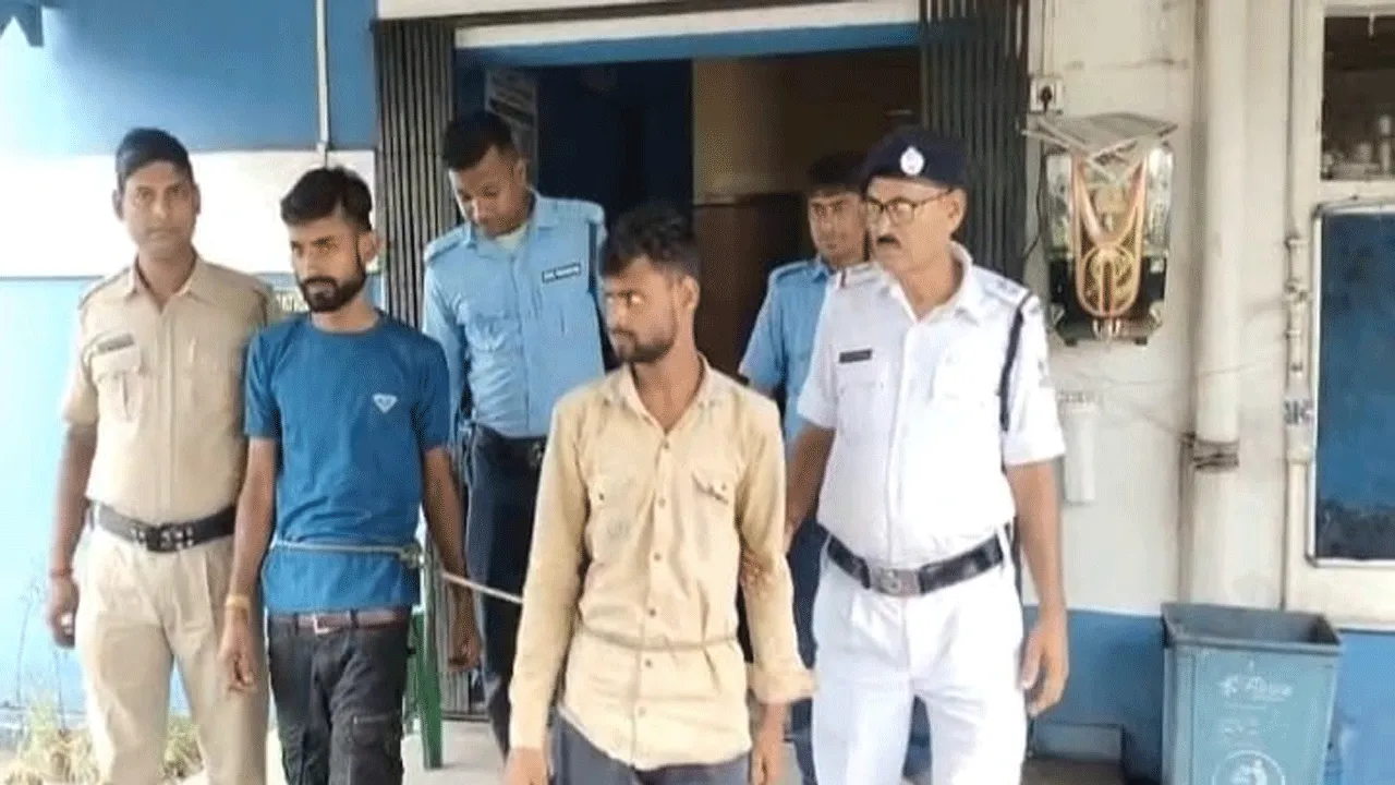 ডুবুরডিহি চেকপোস্টে আটক গবাদি পশু বোঝাই ট্রাক, গ্রেফতার দুই