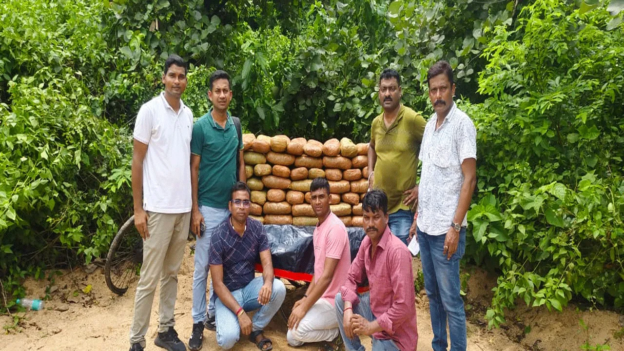 আন্তঃরাজ্য গাঁজা পাচার চক্রের বিরুদ্ধে বড়সড় সাফল্য