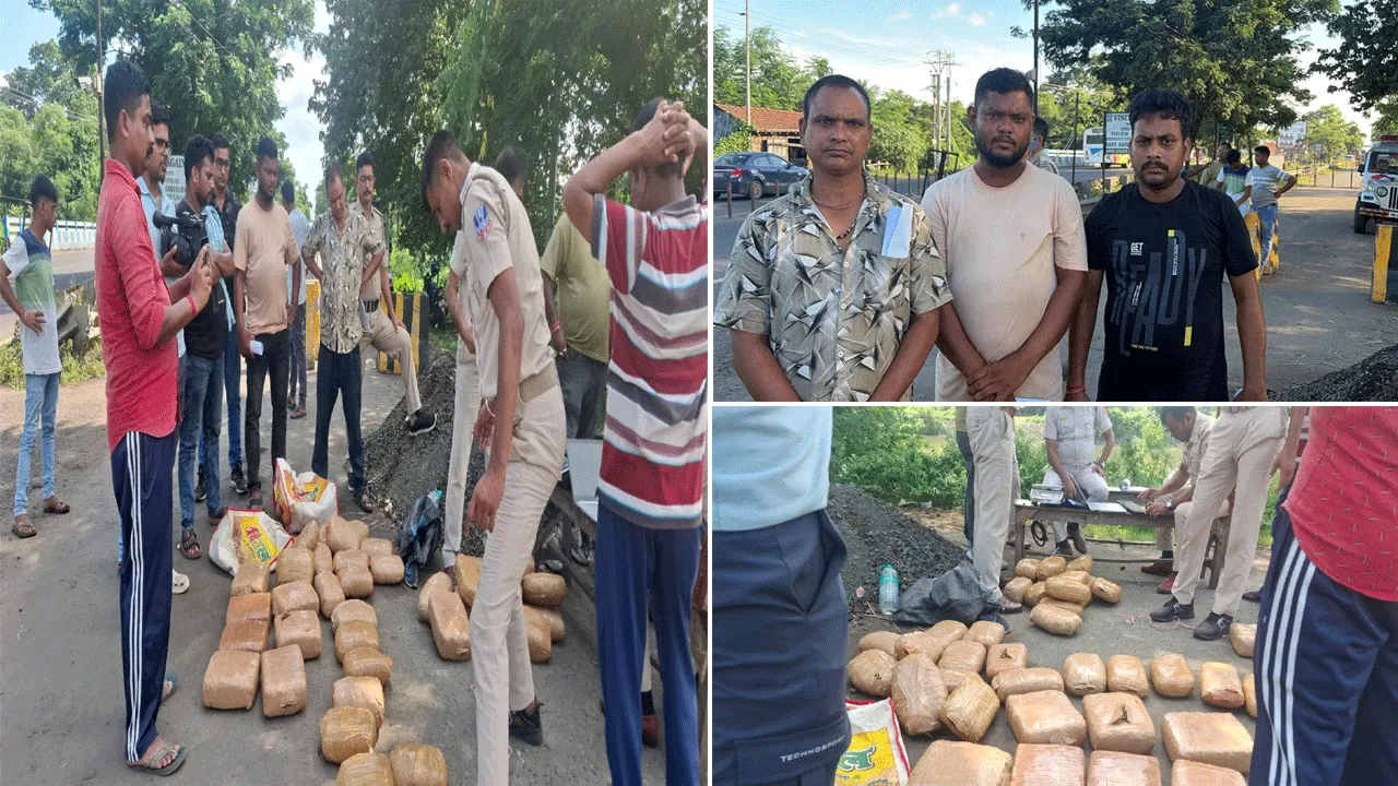 দুর্গাপুরে গাঁজা পাচারের চেষ্টা, উদ্ধার প্রায় ৫৩ কেজি গাঁজা, ধৃত ৩