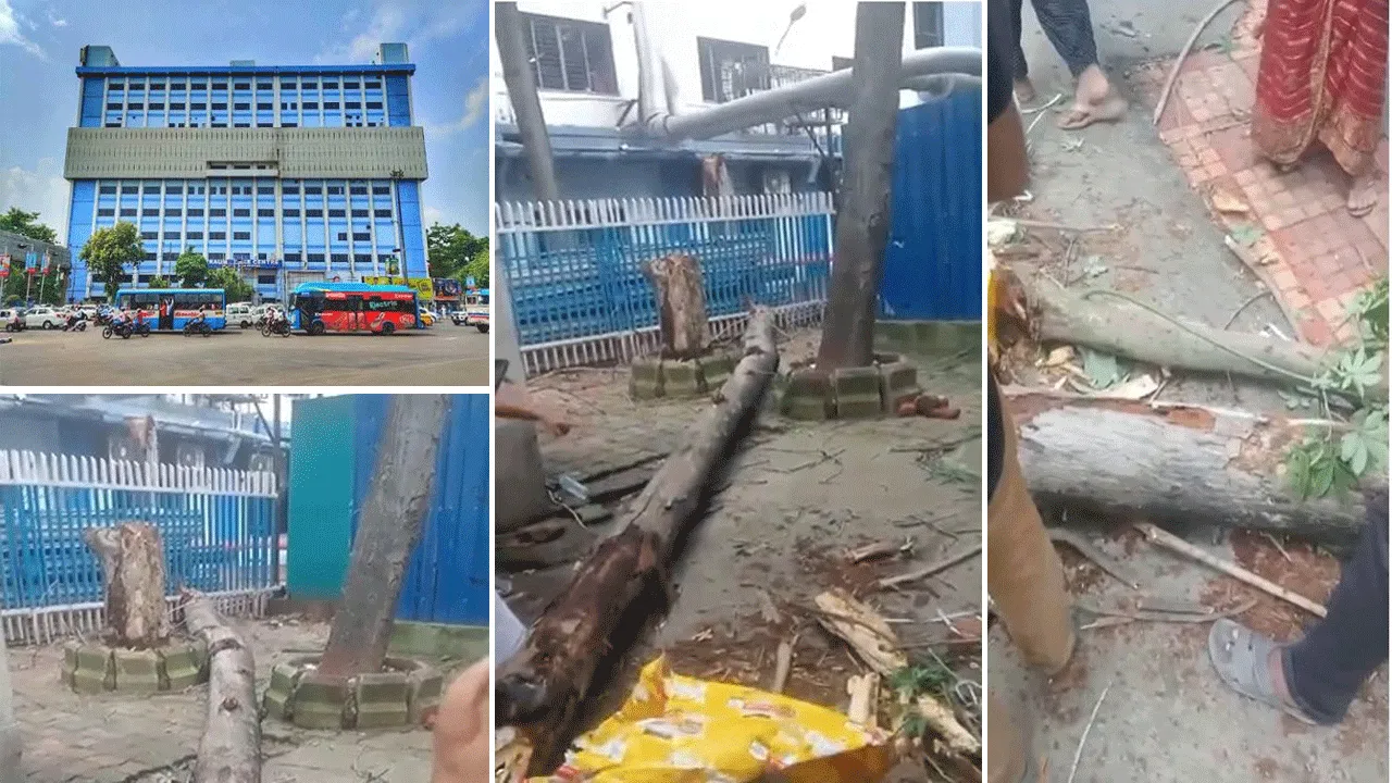 এসএসকেএমের ভিতরে গাছ ভেঙে পড়ে মহিলার মৃত্যু, ঘটনাস্থলে পুলিশ