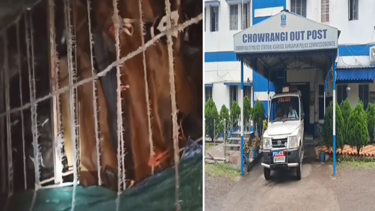 ডুবুর্ডিহি চেকপোস্টে আবারও গরু বোঝাই ট্রাক আটক, গ্রেফতার চালক