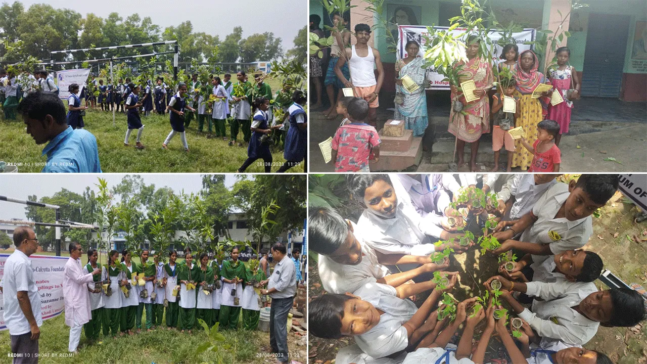 স্বেচ্ছাসেবী সংস্থার উদ্যোগে ফলের চারা বিতরণ