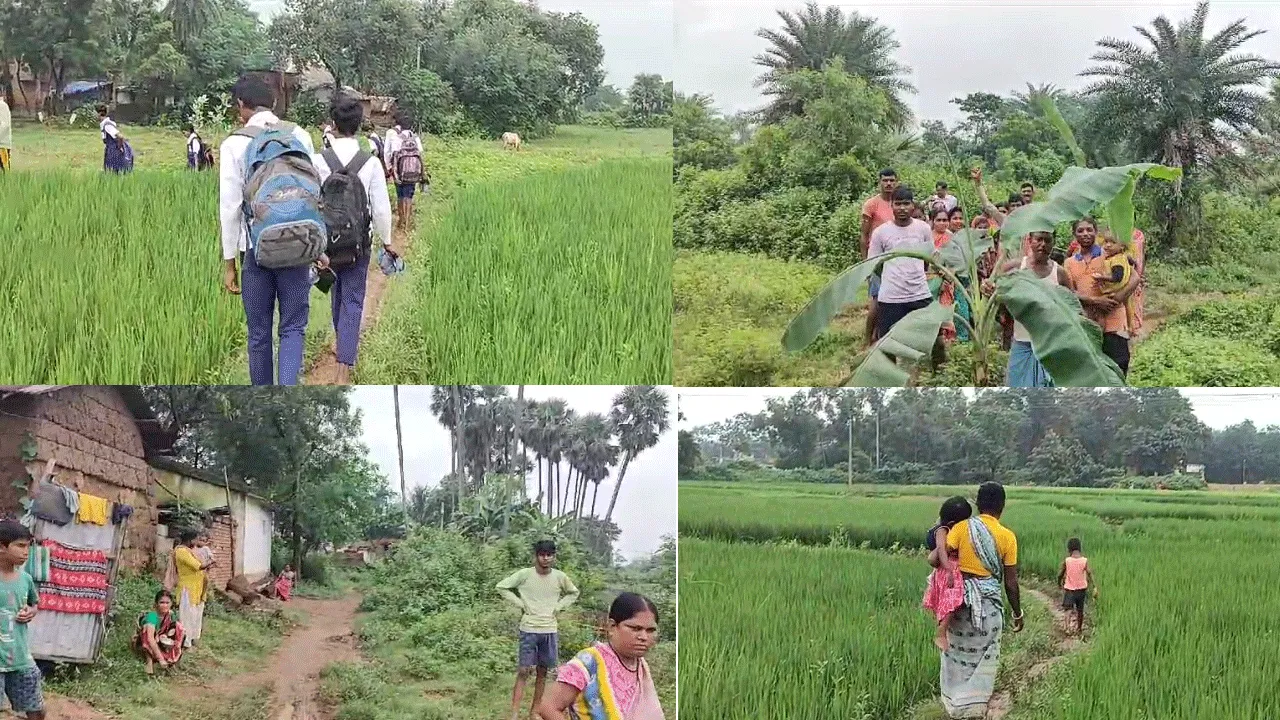 কাদা রাস্তায় কলাগাছ পুঁতে অভিনব আন্দোলন