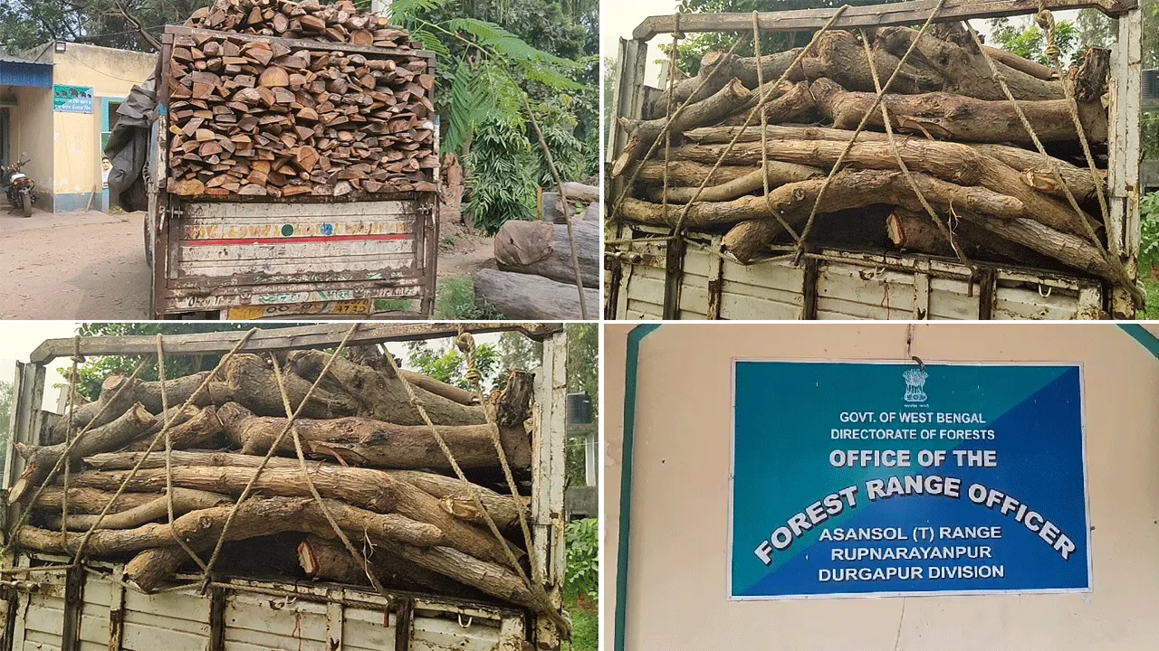 আসানসোল শহরে চোরাই কাঠের ব্যবসার অভিযোগ, আটক গাড়ি