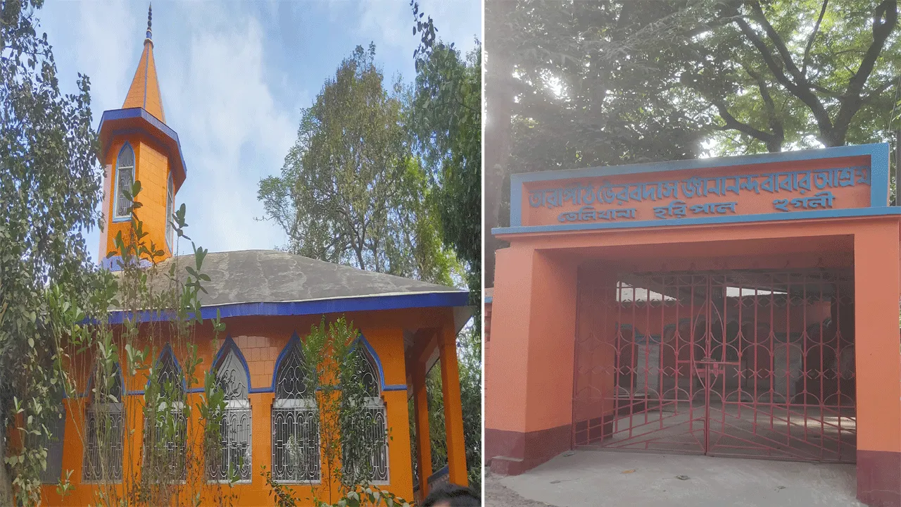 হরিপালের নীলসরস্বতী! কালী মায়ের বিরল এই রূপ দেখুন!