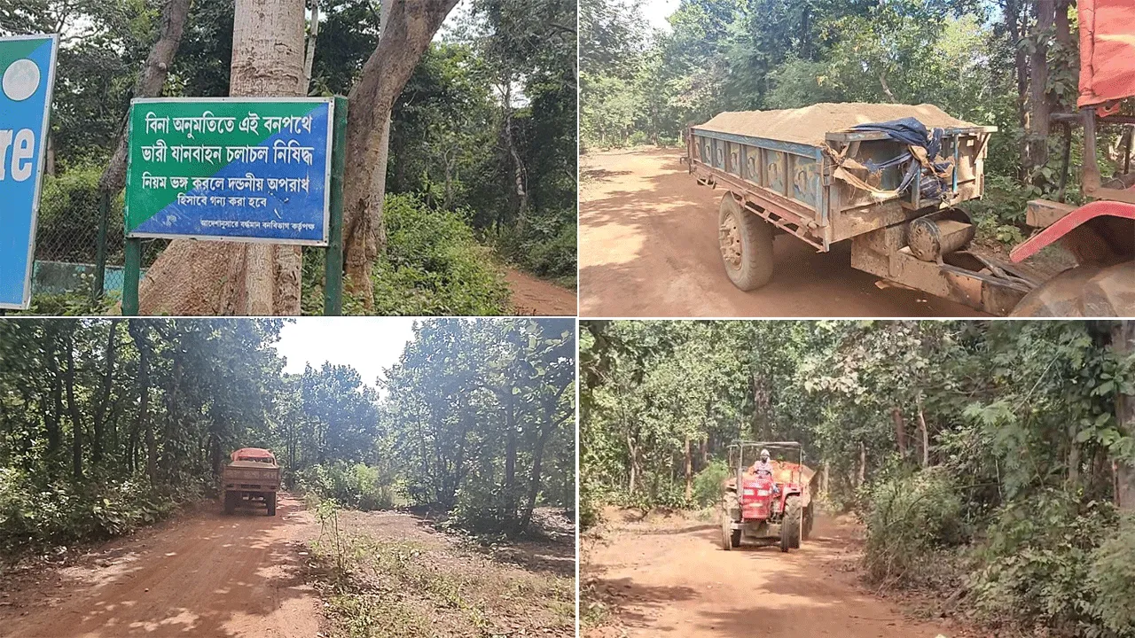 কাঁকসায় বনদপ্তরের লাগানো হাইটবার লোপাট করে বালি পাচারের অভিযোগ