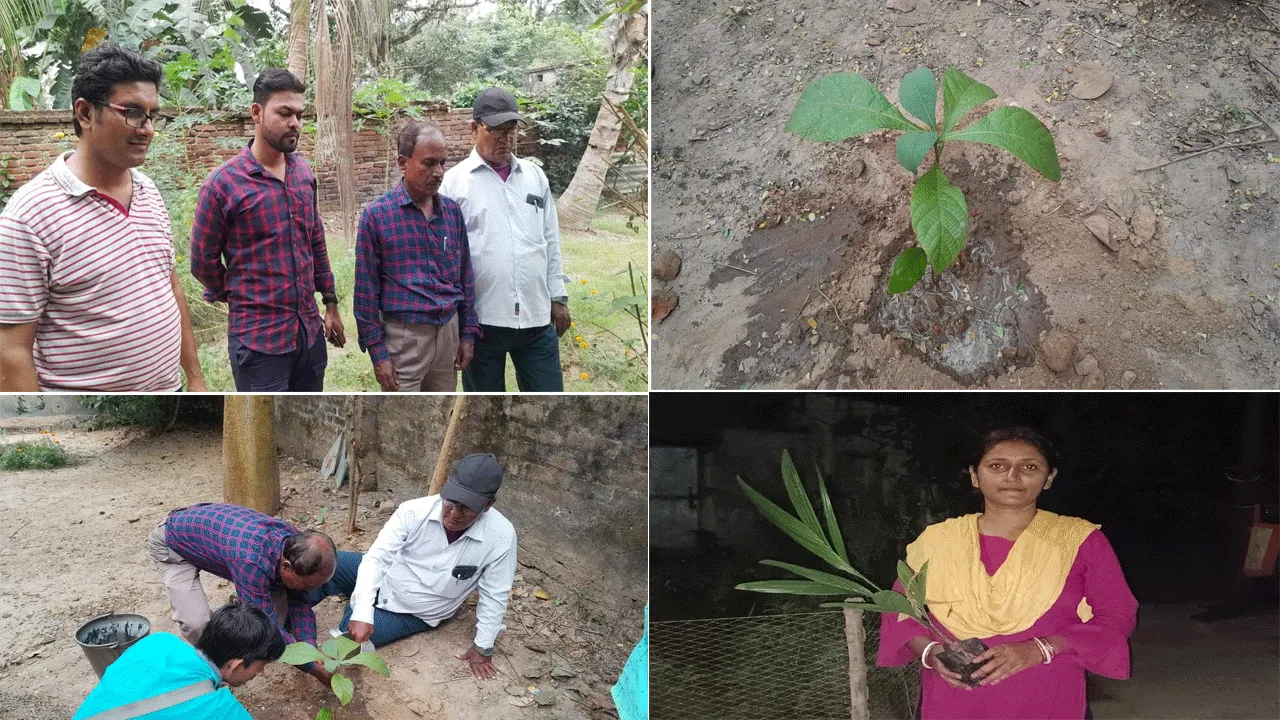 জাতীয় প্রেস দিবসে বৃক্ষরোপণ করল মেমারি প্রেস ক্লাব