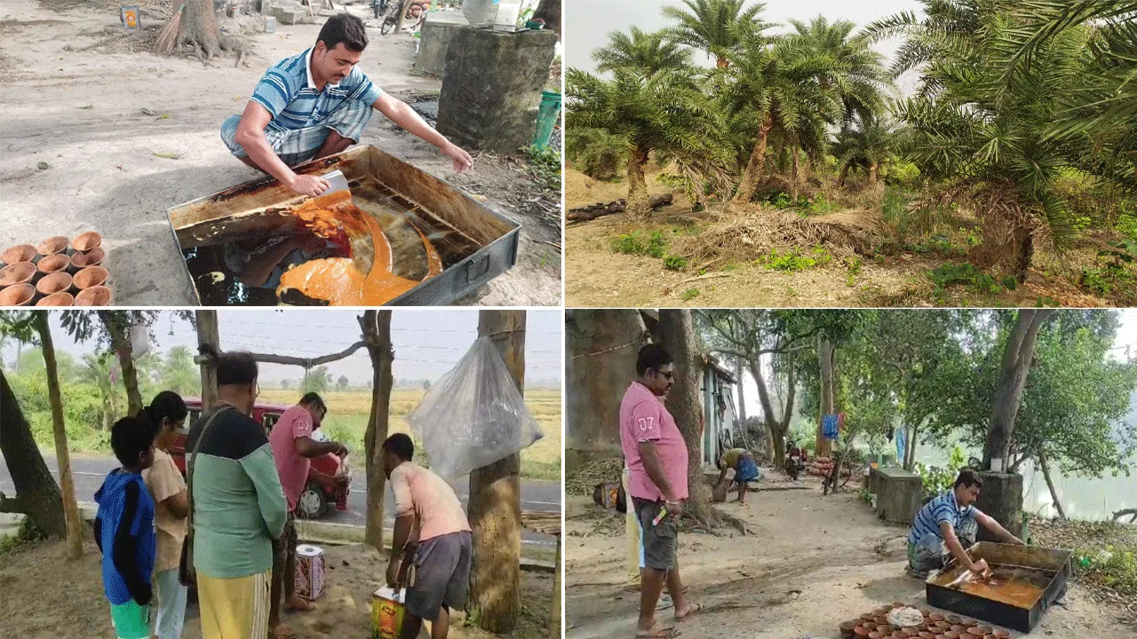 এখনো ঠাণ্ডা পড়েনি – দুশ্চিন্তার ভাঁজ খেজুর গুড় প্রস্তুতকারকদের কপালে