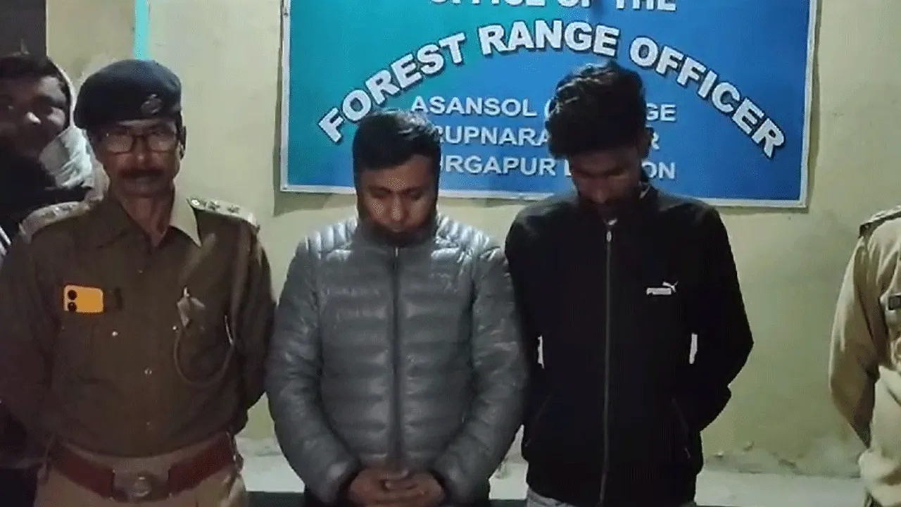 ১০ লক্ষ টাকার পেঙ্গলিনের আঁশ সহ দু-জন পাচারকারি গ্রেফতার