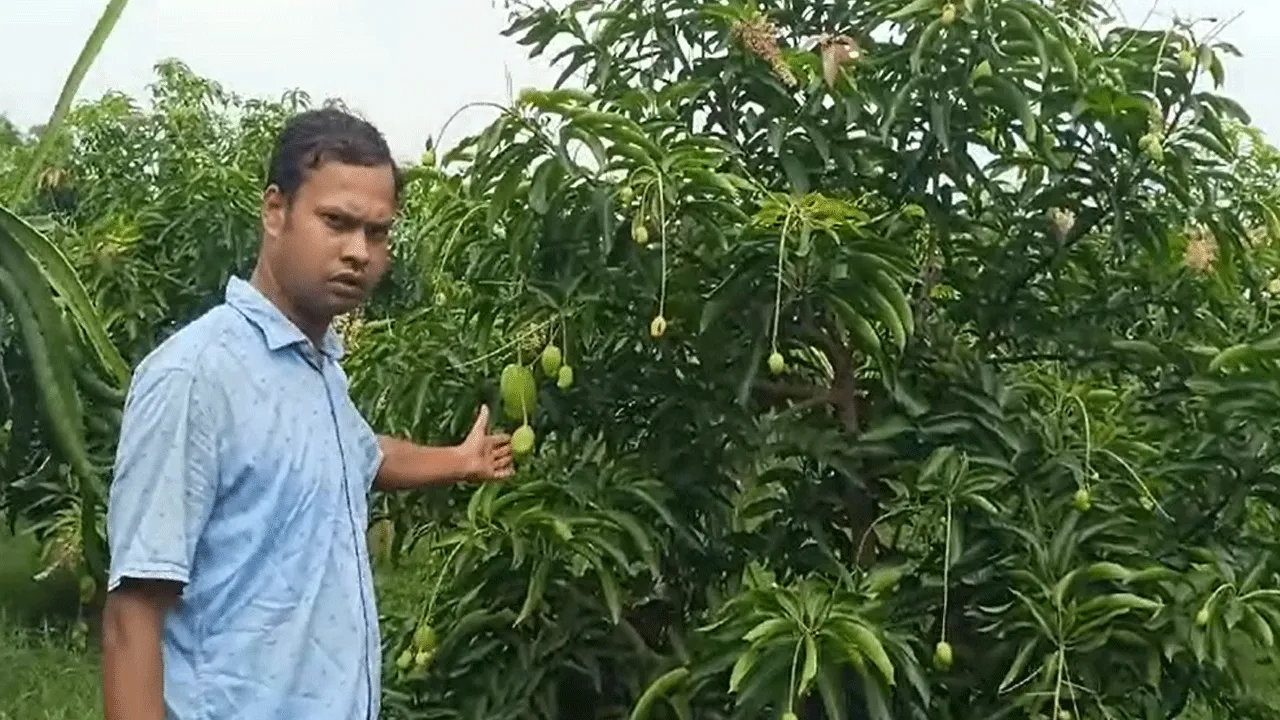 ৩২ রকমের আম নিয়ে দিল্লির আম মেলায় সবার মন জয় করল বাঁকুড়ার নিত্যানন্দ
