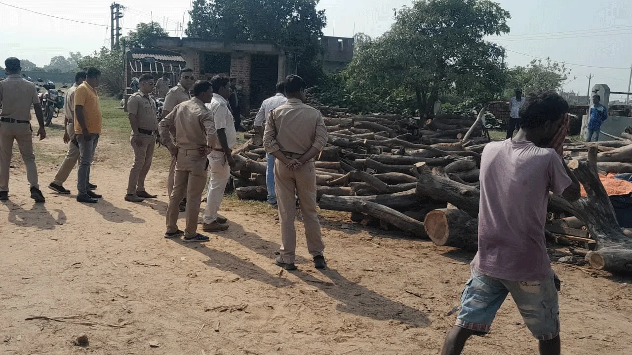 কাঠের মিল থেকে প্রচুর অবৈধ কাঠ উদ্ধার