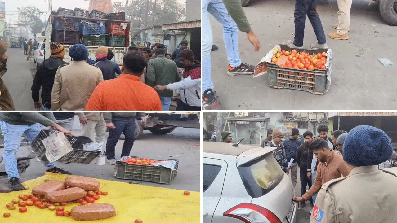 টমেটোর আড়ালে গাঁজা পাচার, উদ্ধার প্রায় ২ কুইন্টাল গাঁজা