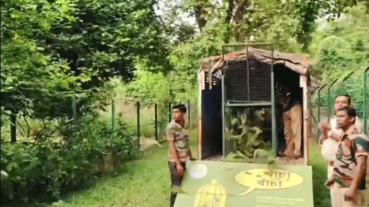 দুর্গাপুরে পাচারের আগে উদ্ধার বিরল প্রজাতির টিয়াপাখি