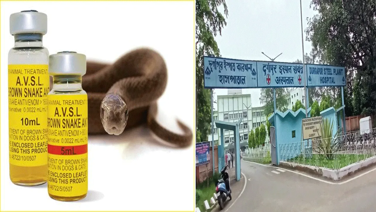 এইচএসইইউ-এর পদক্ষেপ, দুর্গাপুর ইস্পাত কারখানায় ফের চিকিৎসা হবে সাপে কাটা রোগীর