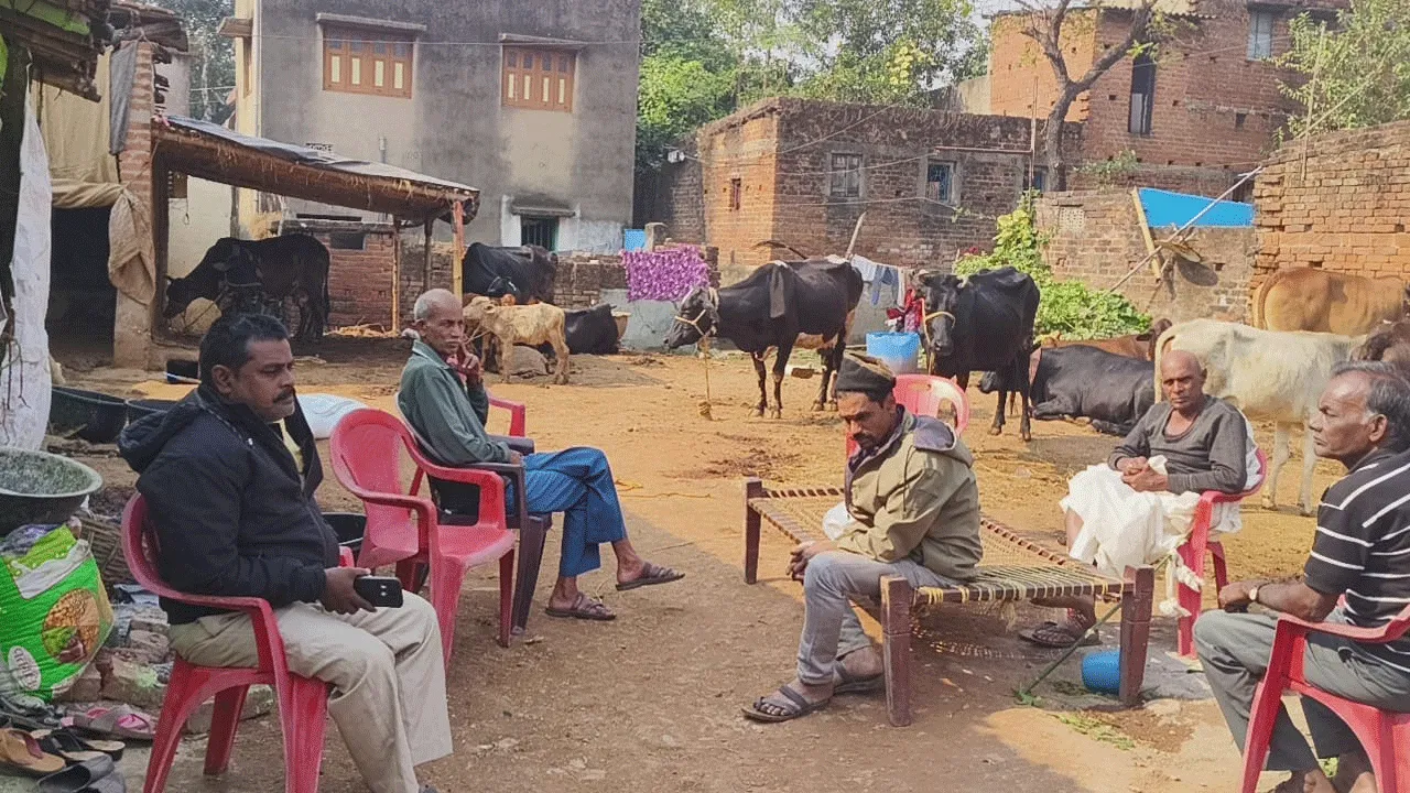 বিয়ে বাড়ি যাওয়ার পথে মর্মান্তিক দুর্ঘটনা, মৃত্যু একই পরিবারের তিনজনের