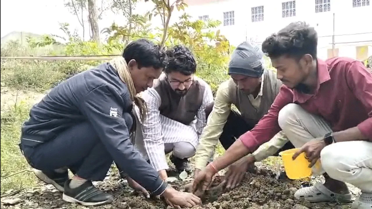 গ্ৰামে গ্ৰামে পঞ্চবটি রোপণ কর্মসূচি, উদ্য়োগে দ্য আর্ট অফ লিভিং সংস্থা
