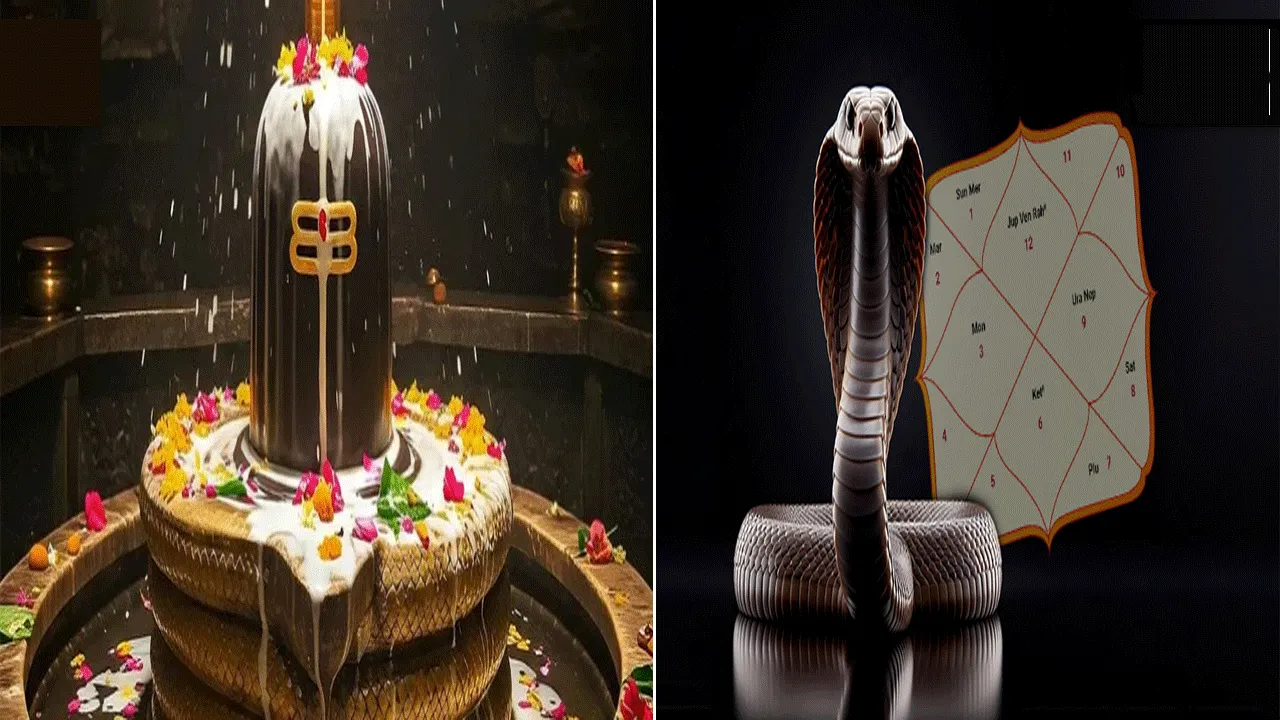 কাল সর্প দোষ কাটাতে এই কাজ করুন