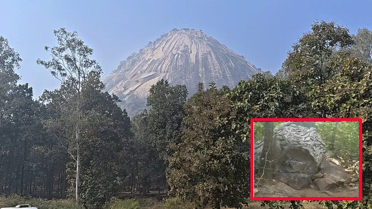 পাখি পাহাড়ে গাইডের ভূমিকায় স্থানীয় মহিলারা, দিশা দেখাচ্ছে আর্থিক স্বাধীনতার