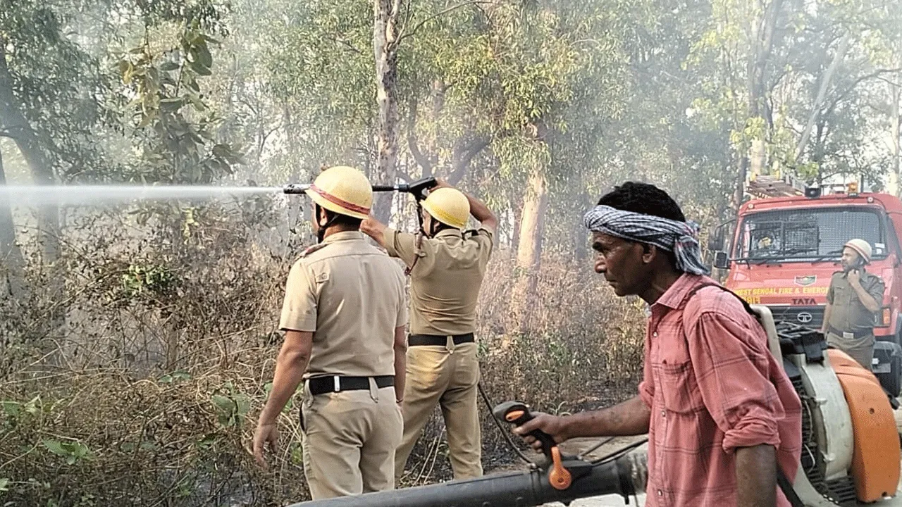বসন্তের শুরুতেই জনপ্রিয় পর্যটন কেন্দ্র শুশুনিয়া পাহাড়ে অগ্নিকাণ্ড