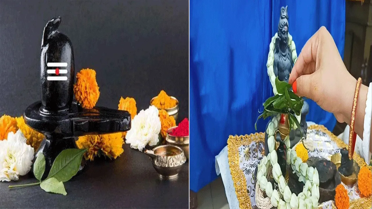 নীল ষষ্ঠীর ব্রতকথা শুনুন আজ!