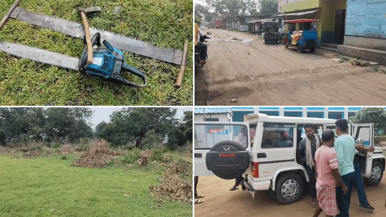গাছ চুরি রুখল সামাজিক সংগঠন, ধৃত একাধিক​