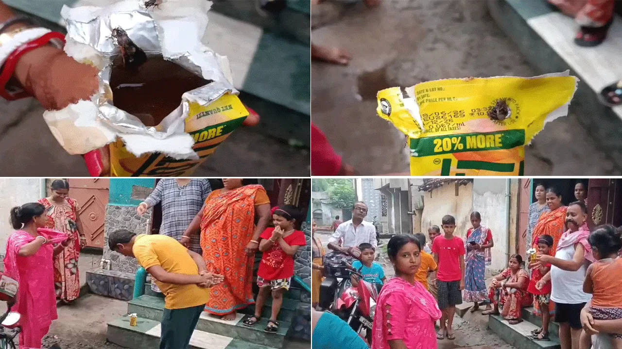 সিল করা প্যাকেটে জীবন্ত পোকা: জামুড়িয়ার বিয়েবাড়িতে চাঞ্চল্য