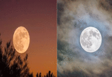 ভুলেও চন্দ্র দর্শন করবেন না এই দুদিন! ভুল করলেই মহাবিপদ!