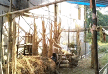 ‘জুরাসিক পার্ক’ থিম আর ৫১ ফুটের মা দুর্গা, জেলাবাসীর নজর কাড়বে!