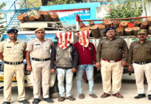 অবৈধভাবে কাঠ পাচারের অভিযোগ, গ্রেফতার দুই