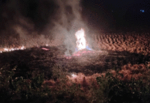 ধান কাটার মরশুম, শুরু হয়েছে নাড়া পোড়ানোর কাজ, সতর্ক করলেন বিশেষজ্ঞরা