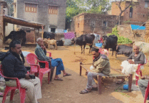 বিয়ে বাড়ি যাওয়ার পথে মর্মান্তিক দুর্ঘটনা, মৃত্যু একই পরিবারের তিনজনের
