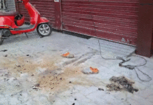 বিদ্যুৎস্পৃষ্ট হয়ে ঝলসে গেল যুবক