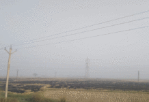 সরকারি নিষেধাজ্ঞাকে বুড়ো আঙুল দেখিয়ে জোর কদমে চলছে নাড়া পোড়ানো