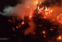 রাতের অন্ধকারে আগুনে ভস্মীভূত অন্তত ২০ বিঘা জমির ধান