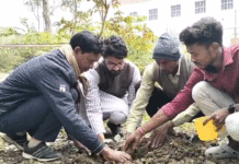 গ্ৰামে গ্ৰামে পঞ্চবটি রোপণ কর্মসূচি, উদ্য়োগে দ্য আর্ট অফ লিভিং সংস্থা