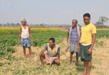 হাতির তাণ্ডবে ক্ষতিগ্রস্ত চাষ, বন আধিকারিকের বিরুদ্ধে ক্ষোভ গ্রামবাসীদের