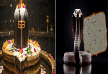 কাল সর্প দোষ কাটাতে এই কাজ করুন